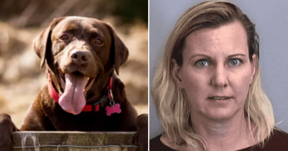 4 6.png?resize=1200,630 - Woman Dealing with Depression Was Charged for Animal Cruelty For Drowning Her Dog