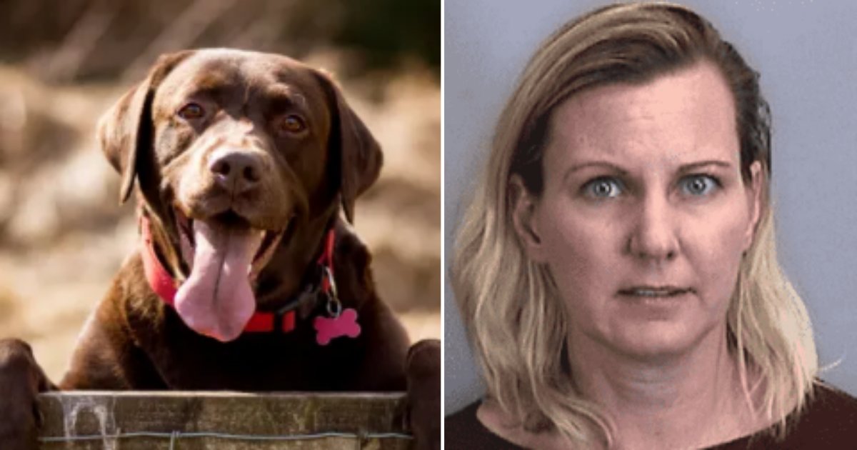 4 6.png?resize=412,275 - Woman Dealing with Depression Was Charged for Animal Cruelty For Drowning Her Dog