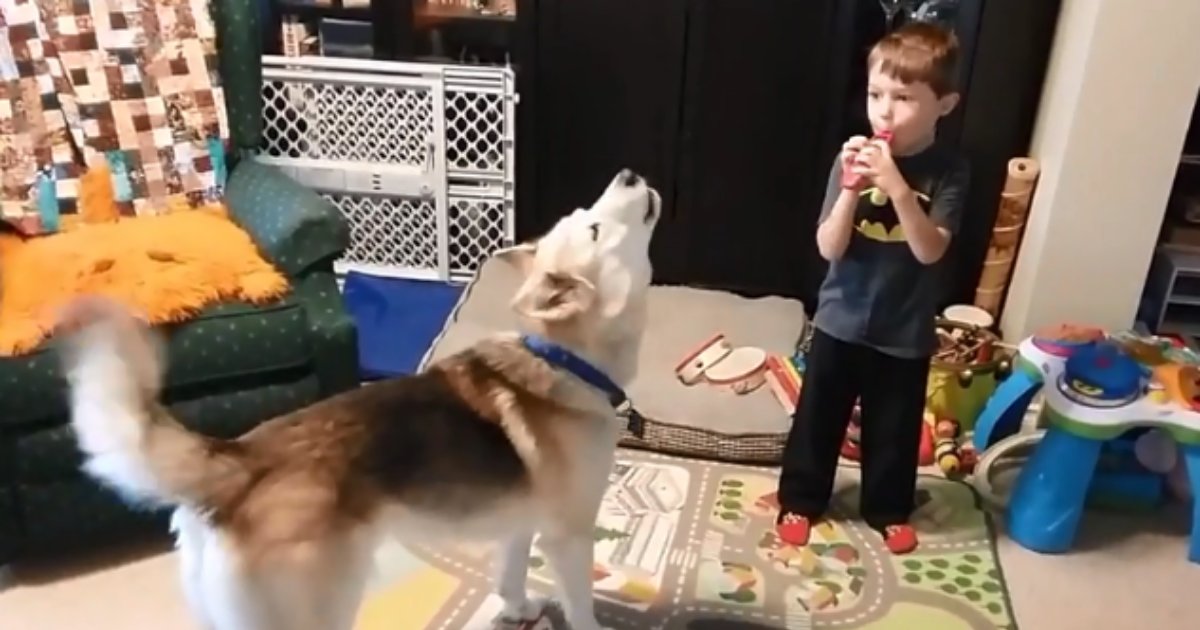 4 65.png?resize=412,275 - Small Boys Whistles and the Husky Joins In