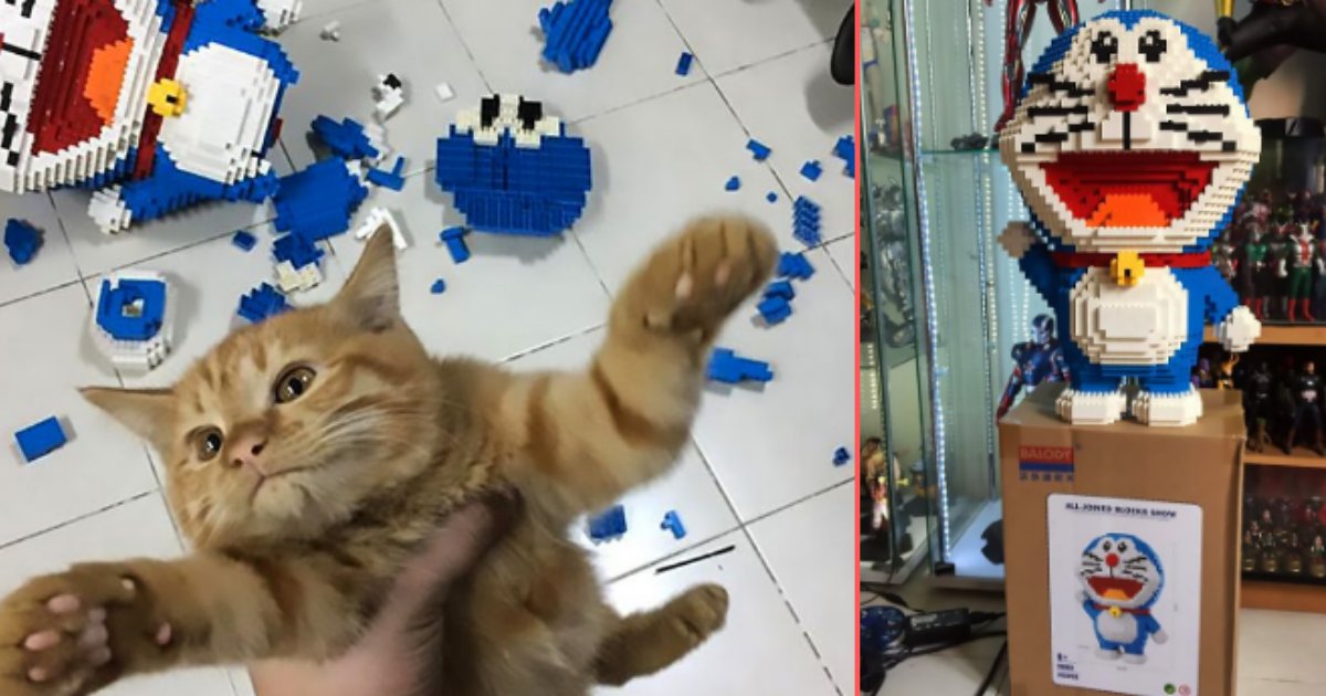 4 7.png?resize=412,232 - Man Built A 2432 Piece Set In 7 Days And His Cat Destroyed It In 7 Seconds