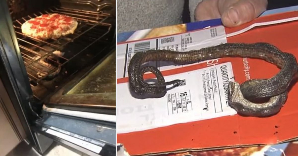 5 12.png?resize=412,232 - Couple Found A Dead Snake In Their Oven When They Were Preheating Their Pizza