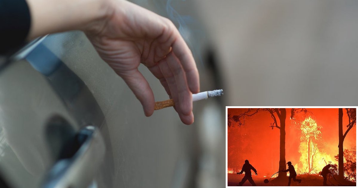 5 48.png?resize=412,232 - You Could Be Fined With $11,000 If You Are Caught Throwing Cigarette Butts Out of Your Car Window