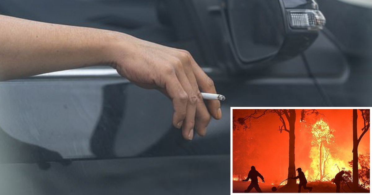 6 38.png?resize=412,232 - Drivers Throwing Cigarette Butts Out of The Car’s Window Might Have to Pay a Fine of $11,000