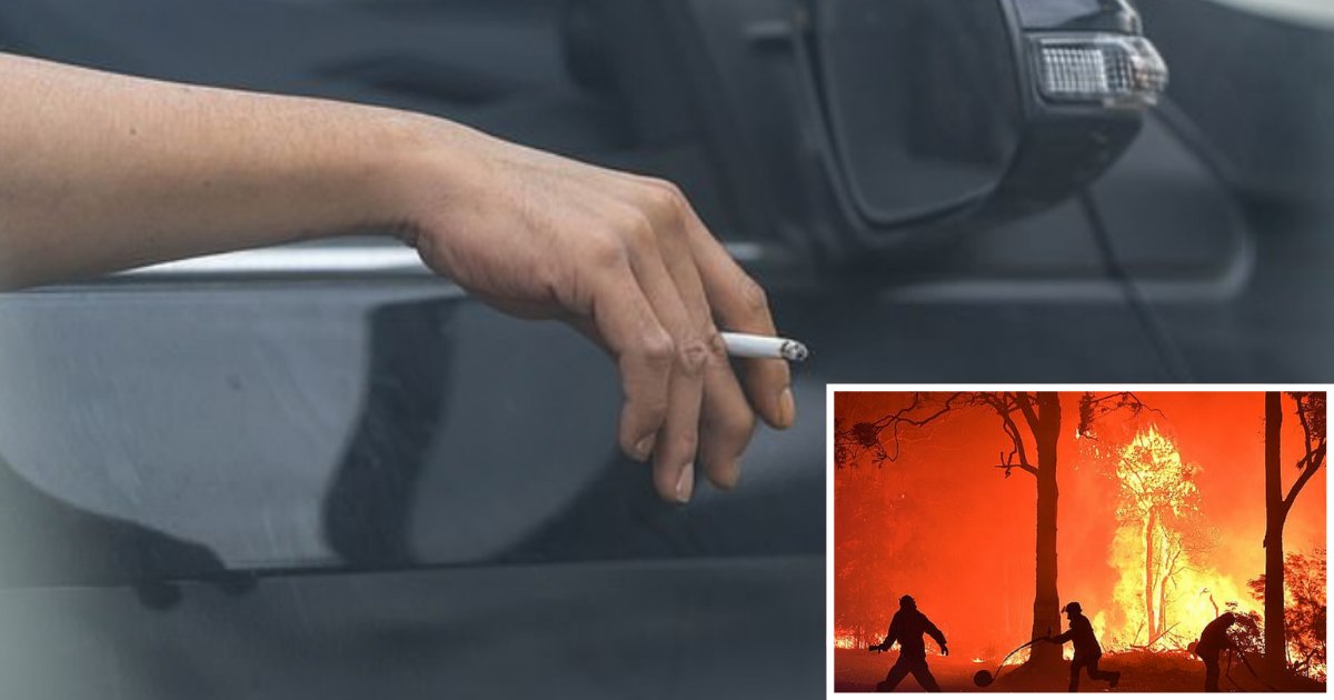 6 38.png?resize=412,275 - Drivers Throwing Cigarette Butts Out of The Car’s Window Might Have to Pay a Fine of $11,000