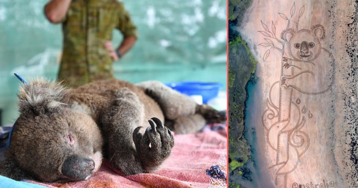 6 42.png?resize=412,232 - Artist Honors Animals Who Died in The Bushfire By Drawing Murals in The Sand