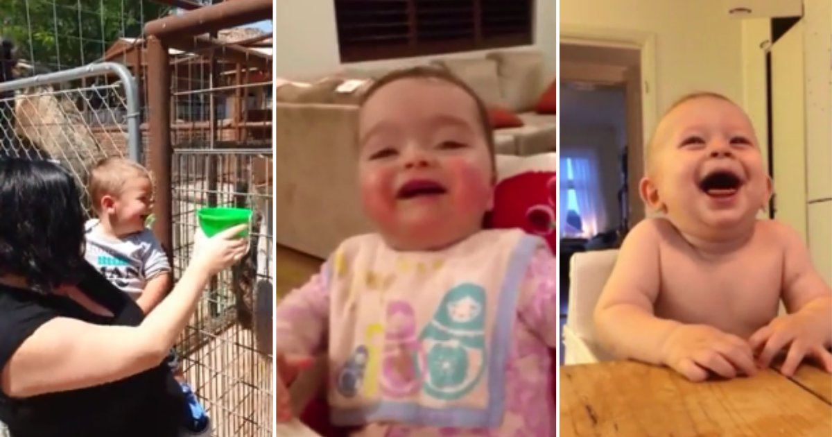 9 10.png?resize=412,275 - Adorable Compilation of Babies Laughing To Make Your Day