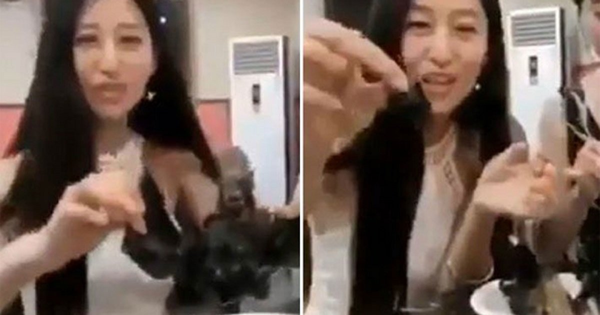 9999999.jpg?resize=1200,630 - (혐오주의) 뒤늦게 주목받고 있는 한 중국 여성 블로거가 올린 ‘박쥐 먹는 영상’