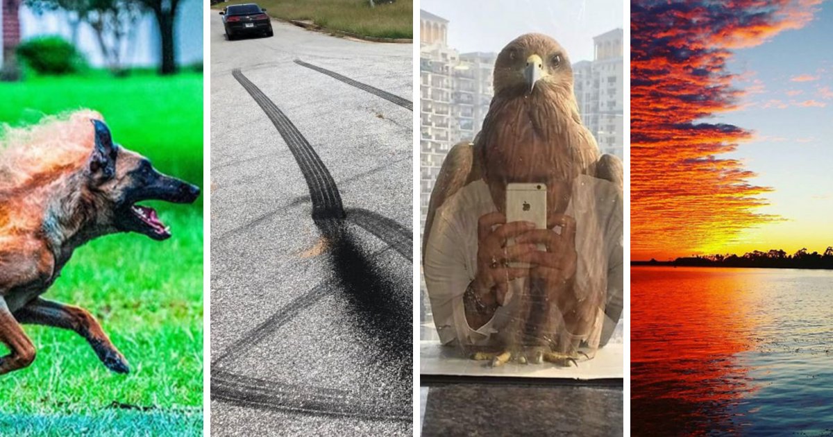 adsiz tasarim 3.png?fit=1024%2C538&ssl=1&strip=all - Photoshop Olmadığına İnanmakta Güçlük Çekeceğiniz 22 Mükemmel Fotoğraf