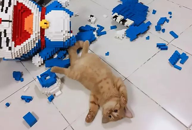 asiawire e1578015128529.png?resize=412,232 - Cat Ruined 2,432 Piece Lego Model That Took Her Owner 7 Days To Complete