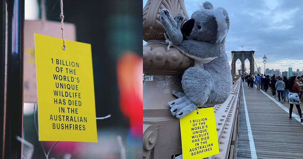 australian media agency attached stuffed koalas to lamp posts and poles to raise awareness of the bushfire crisis.jpg?resize=412,275 - Stuffed Koalas Were Placed Around NYC To Raise Awareness Of The Bushfire Crisis