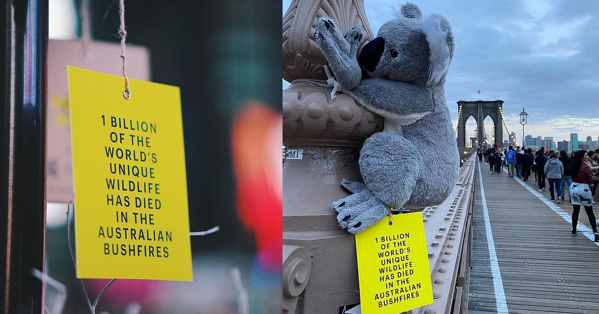 australian media agency attached stuffed koalas to lamp posts and poles to raise awareness of the bushfire crisis.jpg?resize=412,232 - Stuffed Koalas Were Placed Around NYC To Raise Awareness Of The Bushfire Crisis
