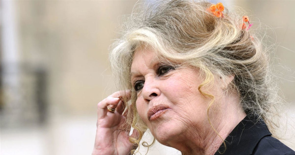 brigitte bardot.png?resize=1200,630 - Défense des droits des animaux : Brigitte Bardot écrit une lettre au président de la République pour «l’engueuler»