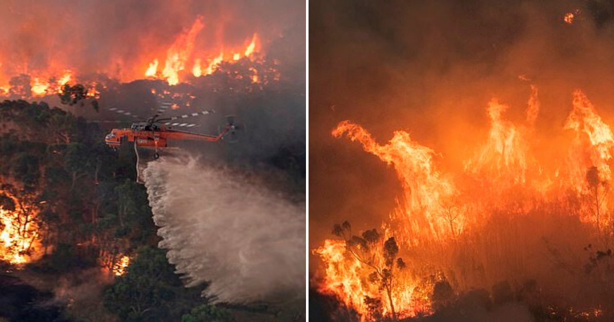 bush5.png?fit=1024%2C538&ssl=1&strip=all - 36-Year-Old Man Arrested For 'Starting A Blaze' In Victoria Amid Devastating Bushfires