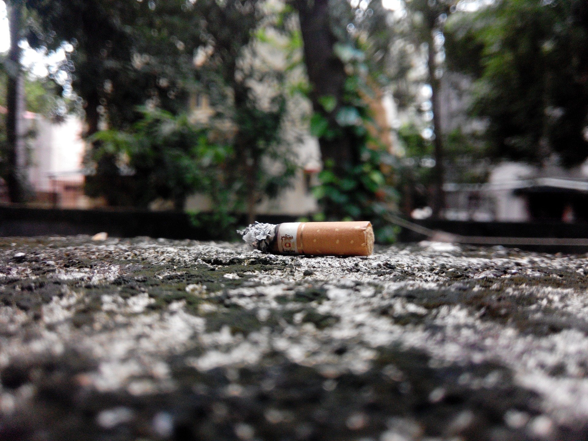 cigarette 1659048 1920.jpg?resize=1200,630 - L'Australie impose une lourde pénalité à l'encontre de toute personne jetant son mégot par la fenêtre d'une voiture