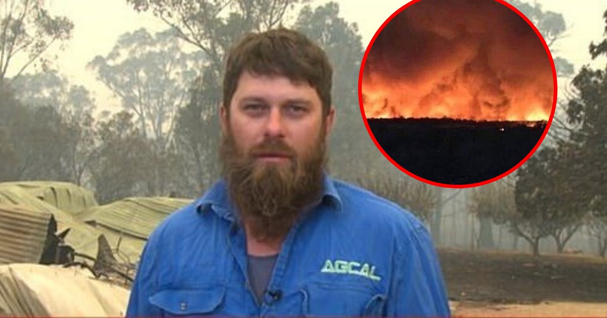 clouds4.png?resize=412,275 - Farmer Shared Photograph Showing A Creepy Face Lurking In Bushfire Clouds In Australia
