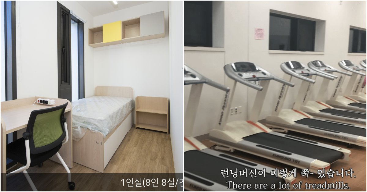 collage 78.png?resize=1200,630 - 대한민국에서 최고라는 이화여자대학교 기숙사 모습