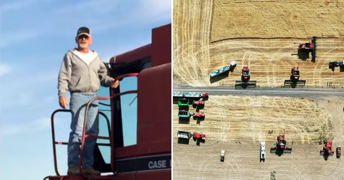 farmer5.png?resize=412,275 - Almost 60 Kindhearted People Stepped In To Help Cancer-Stricken Farmer