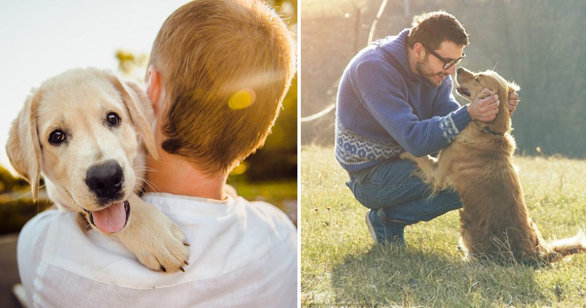 ffds.jpg?resize=412,275 - Research Reveals That Pet Dogs Can Talk To Their Owners Using Their Gaze