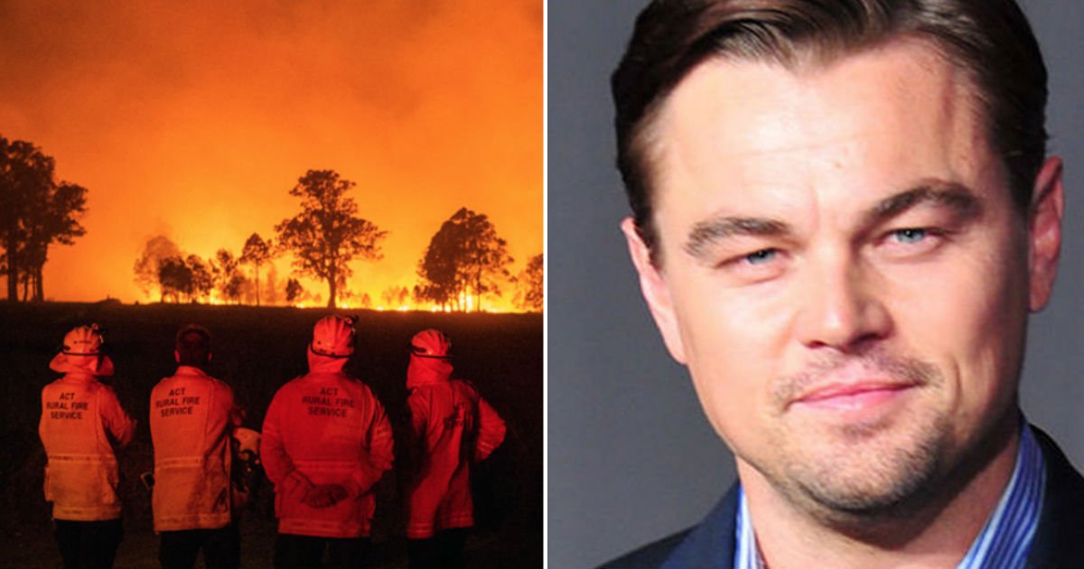 fire 4.jpg?resize=1200,630 - 호주 '최악의 산불'에 유명인 기부 잇따라...'34'억 투척한 디카프리오