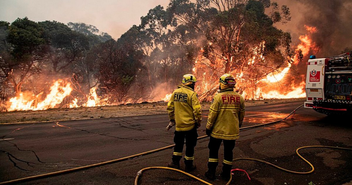 fires6.png?resize=1200,630 - Heartbreaking Photos Show Thousands Of Blackened Kangaroo, Koala And Other Animals Line The Road