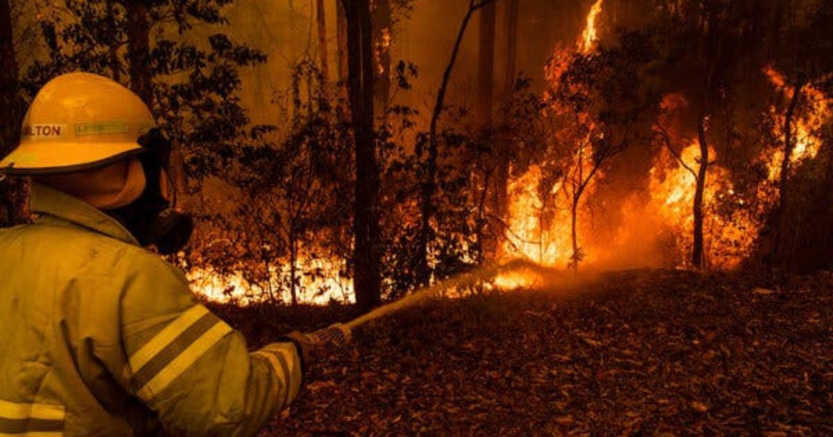 fires7.png?resize=412,275 - 37-Year-Old Comedian Raised More Than $29 Million For Firefighters In Australia