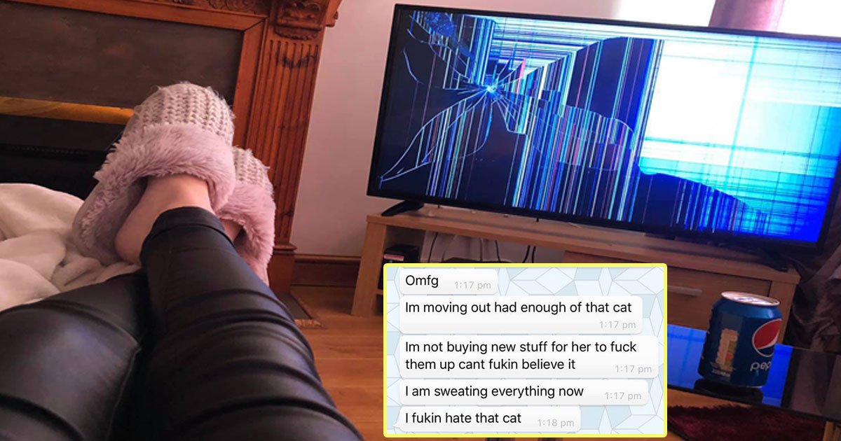 girlfriend tricked bf cat.jpg?resize=412,275 - Girlfriend Pranked Her Boyfriend And He Decided To Move Out