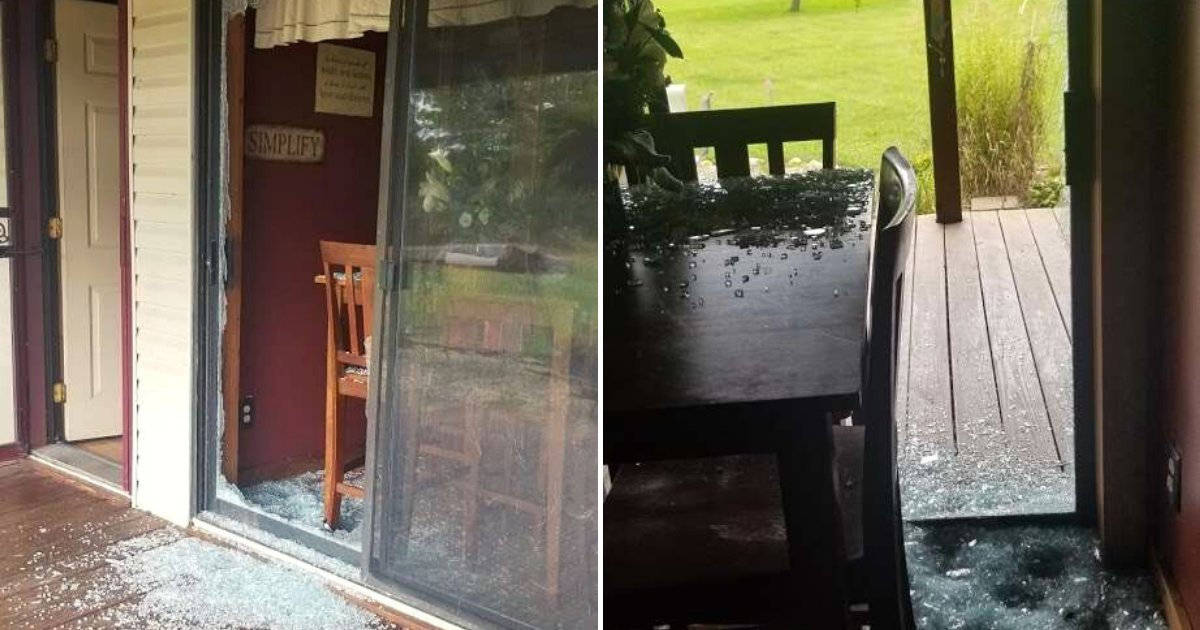 goat6.png?resize=412,275 - Family Discovered Their Home's Been Broken Into And Left Shocked After Seeing Who's Inside