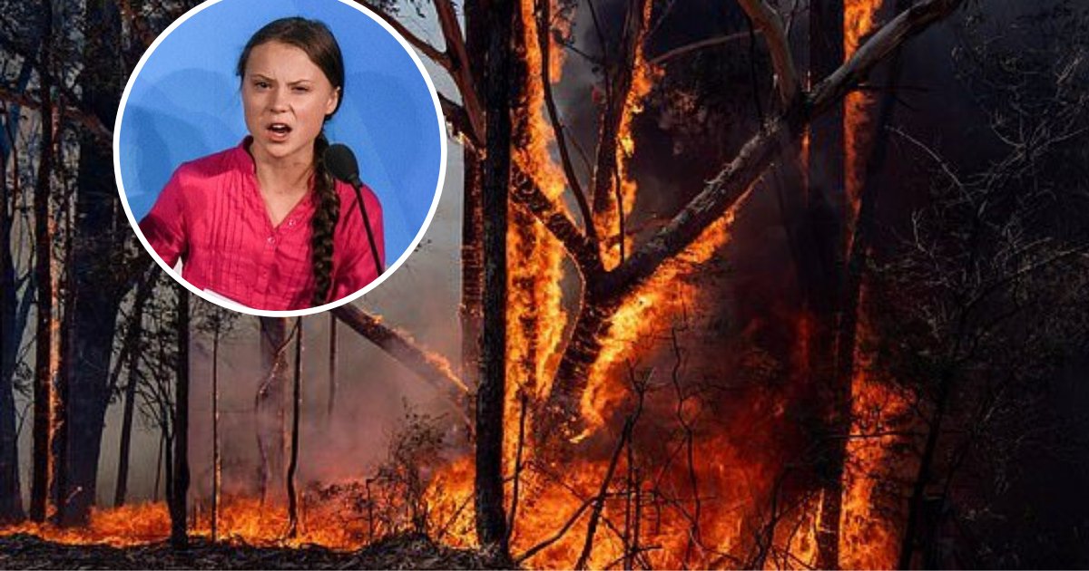 greta5.png?resize=412,275 - Greta Thunberg s'est exprimée à propos des incendies en Australie