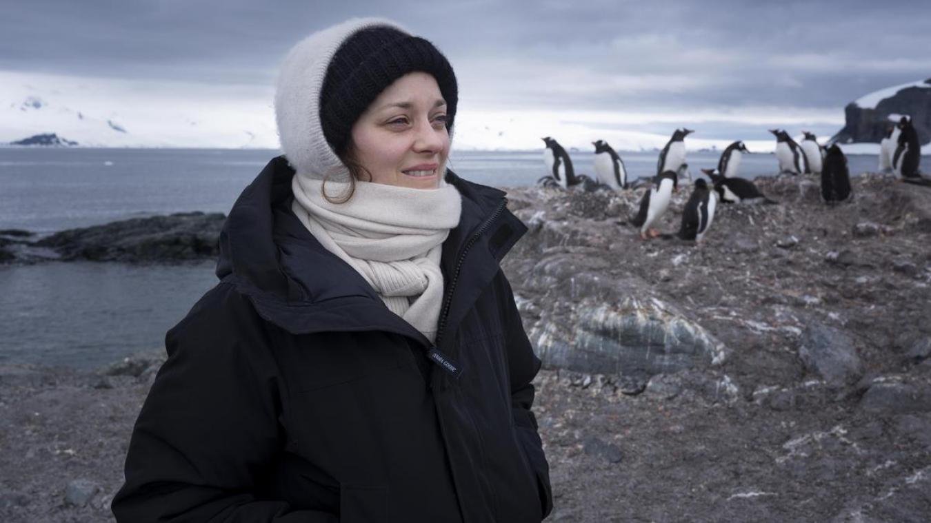 marion cotillard.jpg?resize=412,232 - Changement climatique: Marion Cotillard est en mission en Antarctique avec Greenpeace