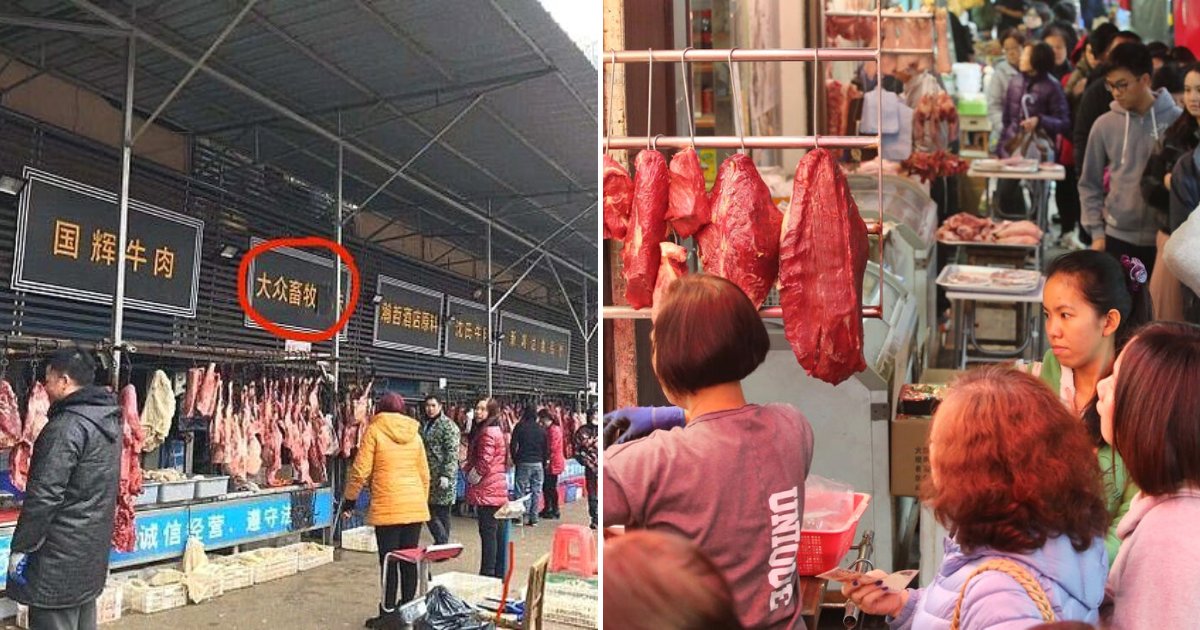 market6.png?resize=412,275 - Chinese Food Market At The Center Of Coronavirus Was Selling Koalas, Snakes And Wolves For Locals To Eat