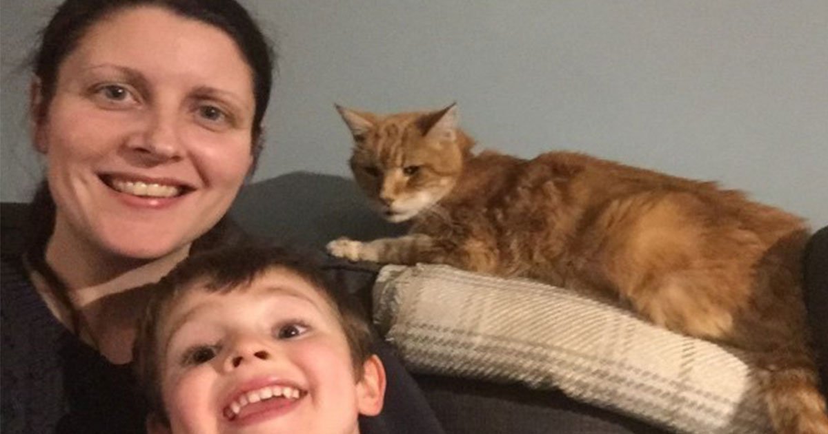 missing cat reunited with family on new years eve after two years.jpg?resize=412,275 - Missing Cat Reunited With Family On NYE After Two Years