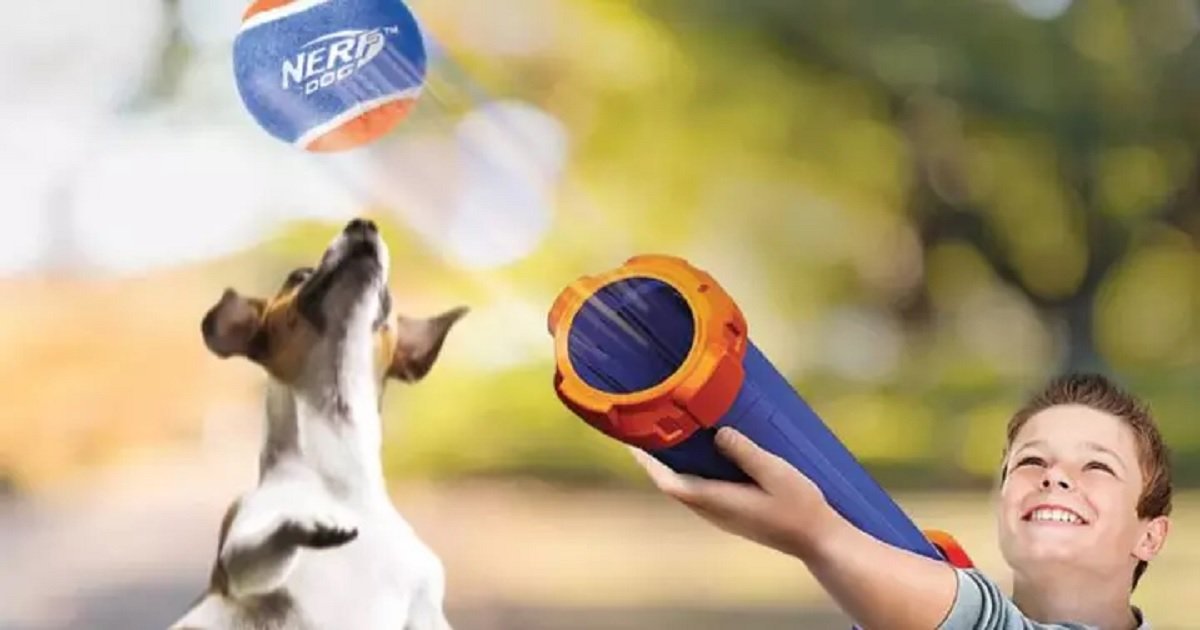 n3.jpg?resize=412,275 - Nerf Dog Tennis Ball Launcher Allows Owners To Play Fetch With Their Dogs With Little Effort