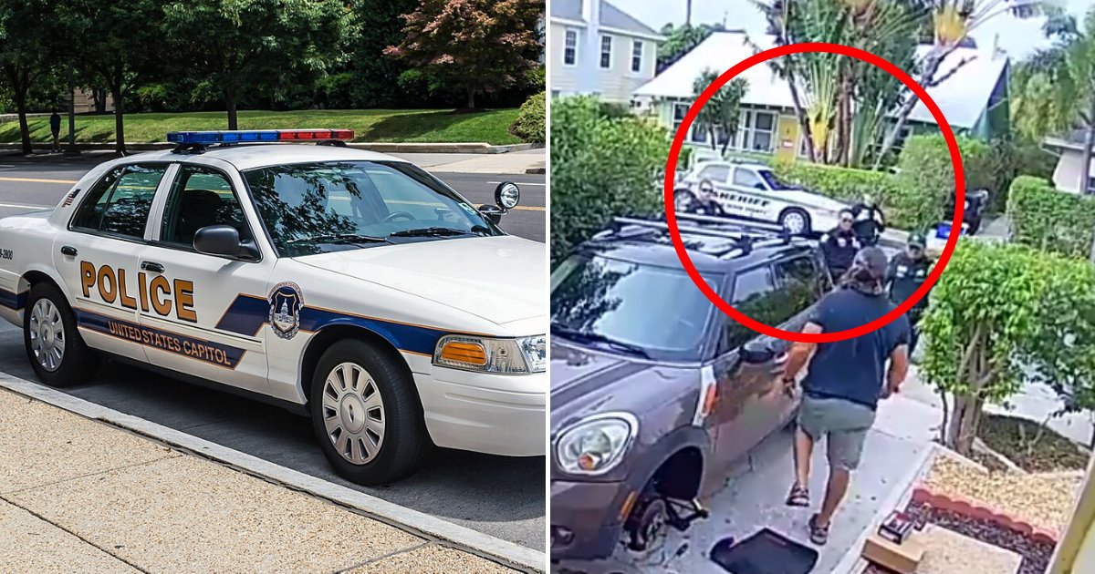 Neighbor Called Police After Hearing A Woman Screaming ‘help ’ And ‘let Me Out ’ Small Joys