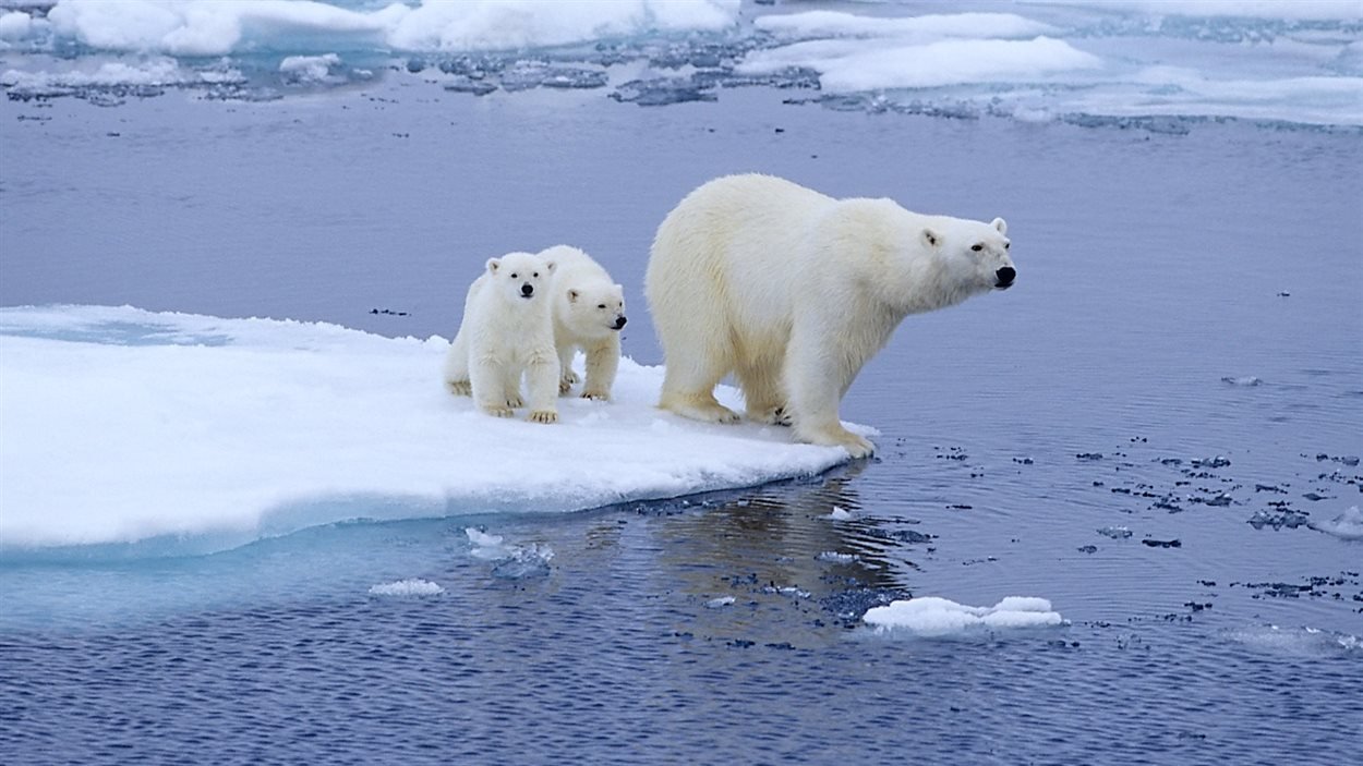 Rechauffement Climatique Une Source De Chaleur Fait Fondre L Antarctique Par En Dessous Vonjour Rechauffement Climatique Une Source De Chaleur Fait Fondre L Antarctique Par En Dessous Vonjour
