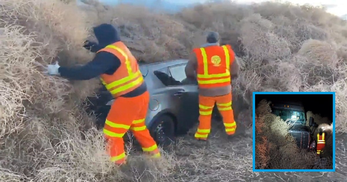 t3 1.jpg?resize=412,275 - 30-Foot High Tumbleweeds Left Cars Trapped On Highway