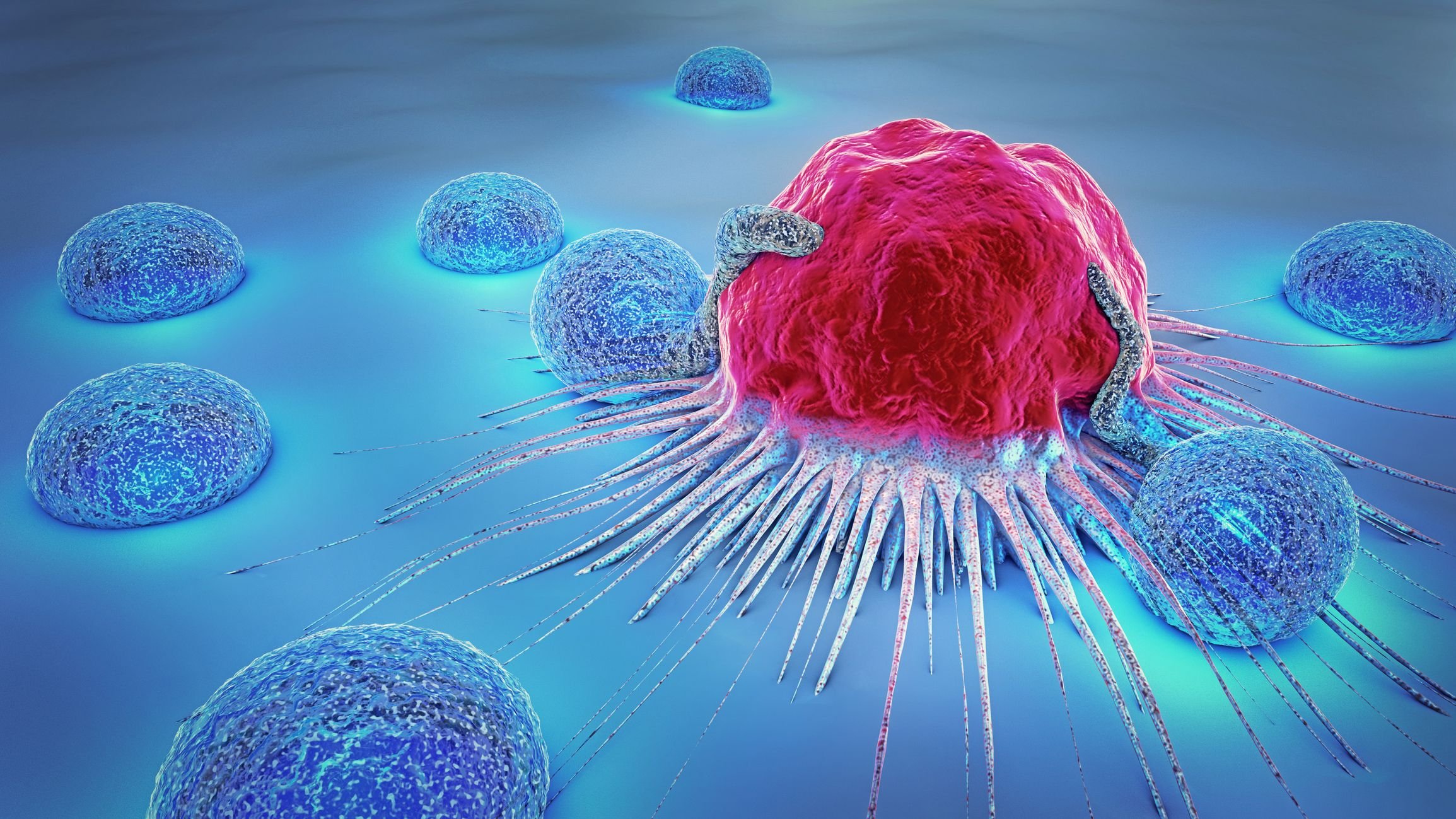 top sante.jpg?resize=1200,630 - Une cellule pouvant s'attaquer à tous les cancers a été découverte