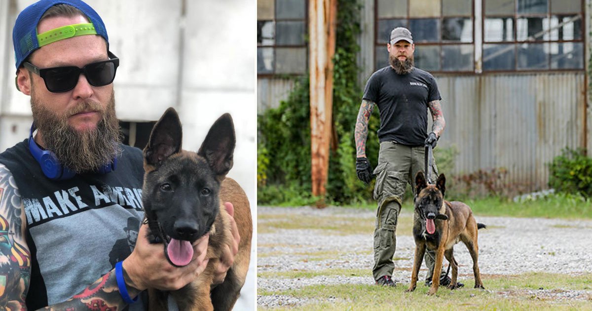 torchlight k 9.jpg?resize=412,275 - Torchlight K-9 Trains The World’s Toughest Dogs For The US Police Force
