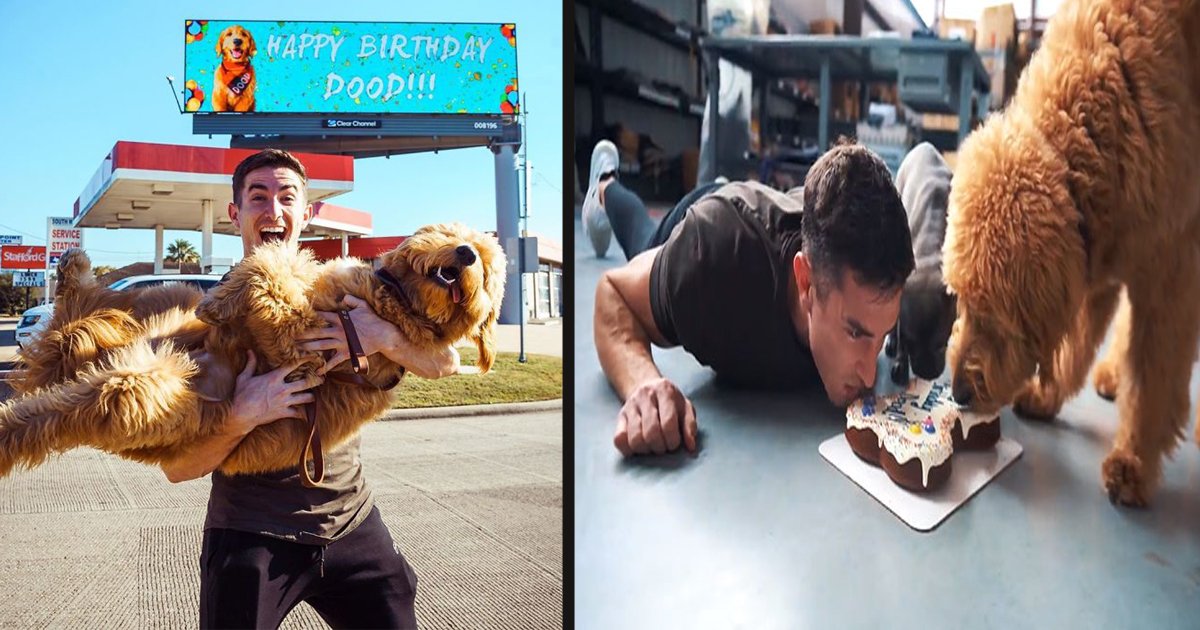 untitled 1 140.jpg?resize=412,275 - A Man Rented A Whole Billboard To Let People Know It’s His Dog’s Birthday