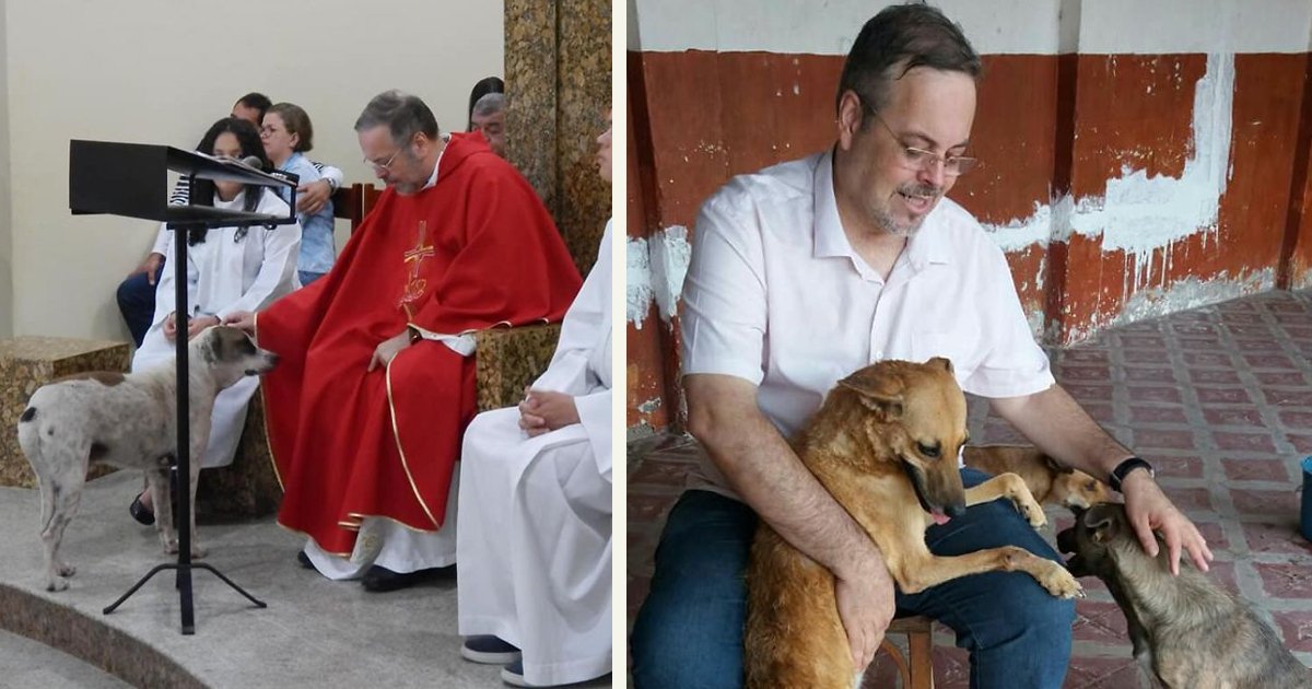 untitled 1 83.jpg?resize=1200,630 - A Kind Priest Lets Stray Dogs Become Part Of His Service So They Can Find New Families