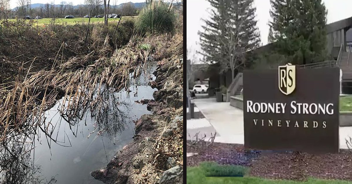 untitled 5 4.jpg?resize=412,275 - Nearly 100,000 Gallons Of Wine Spilled Into A River In California After A Tank Leak