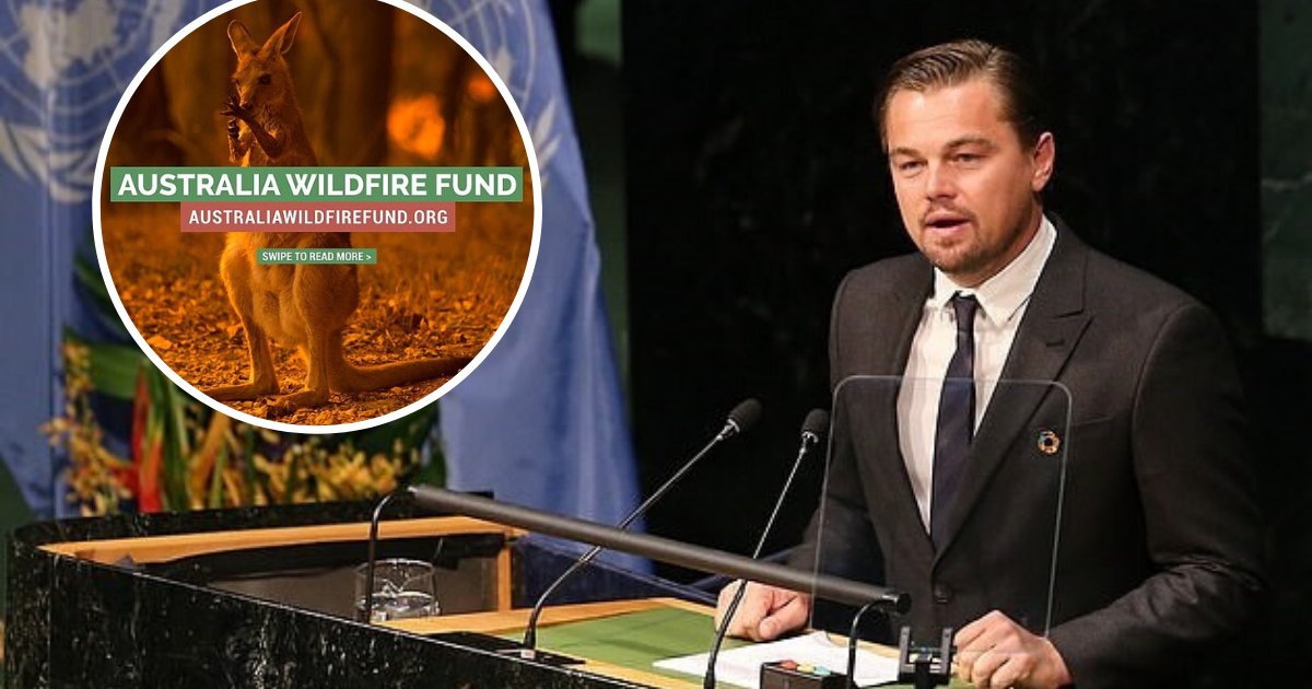 untitled design 18.png?resize=412,232 - Leonardo DiCaprio's Foundation Launched A $3 Million Fund For Bushfire Crisis Relief