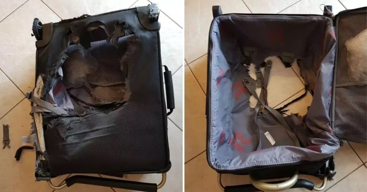 untitled design 35.png?resize=1200,630 - Le passager d'une compagnie aérienne en colère a partagé une photo de sa valise qui a été complètement détruite pendant le vol