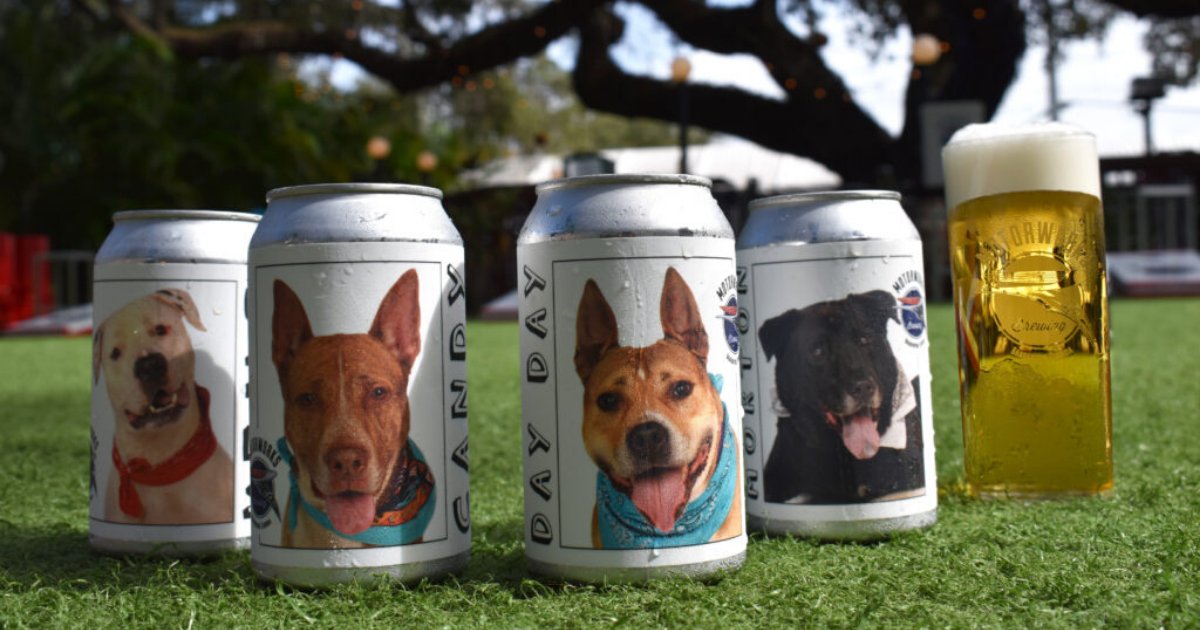 untitled design 49 2.png?resize=412,275 - Brewery Posting Pictures Of Shelter Dogs On Beer Cans To Help Them Get Adopted