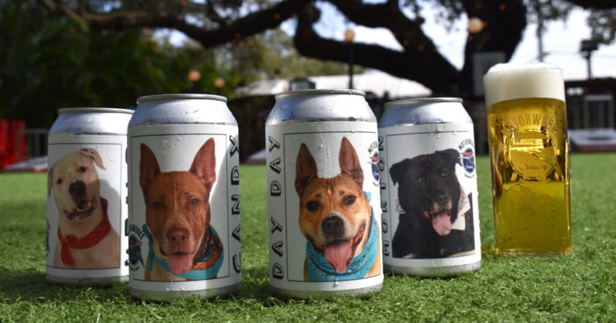 untitled design 49 2.png?resize=412,232 - Brewery Posting Pictures Of Shelter Dogs On Beer Cans To Help Them Get Adopted