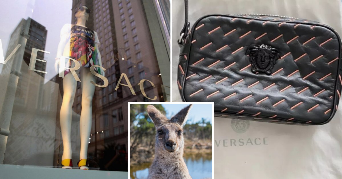 untitled design 50 1.png?resize=412,275 - Versace Banned Kangaroo Skin From Its Products Following Pressure From Animal Activists