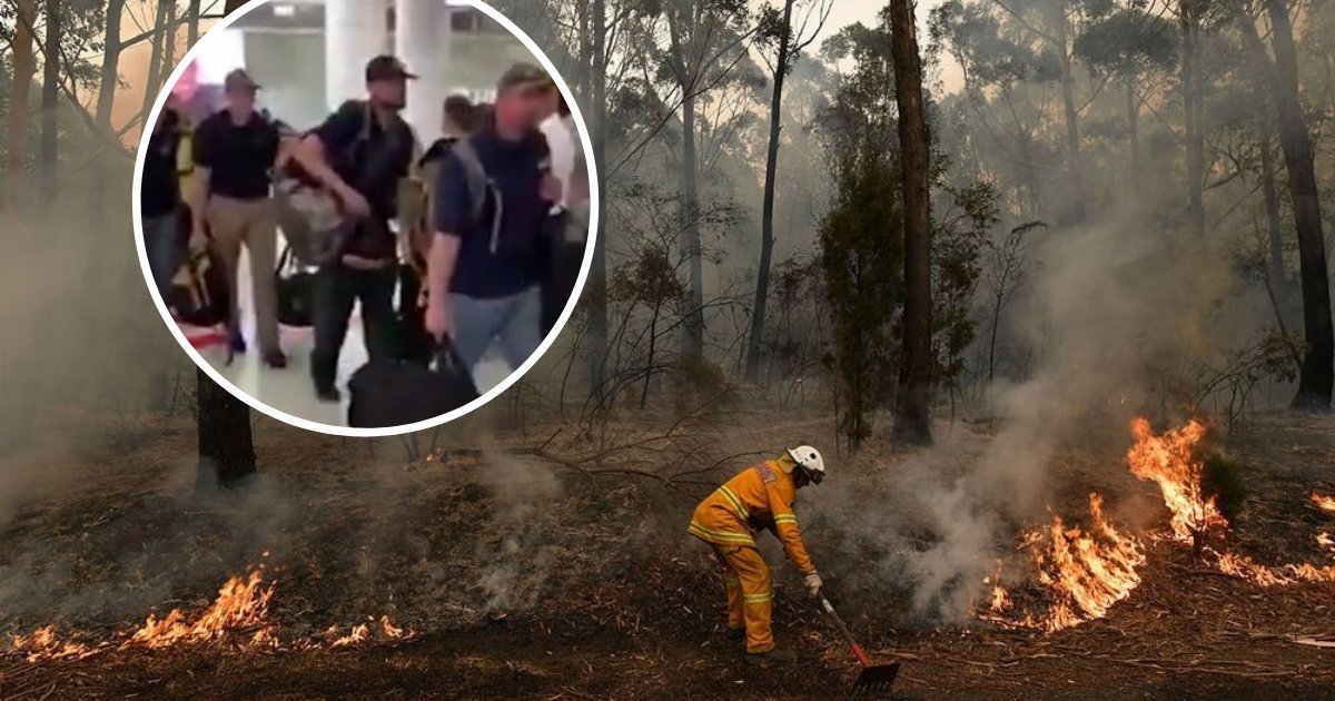 untitled design 6 1.png?resize=412,275 - US Firefighters Greeted With Loud Cheering As They Landed In Australia