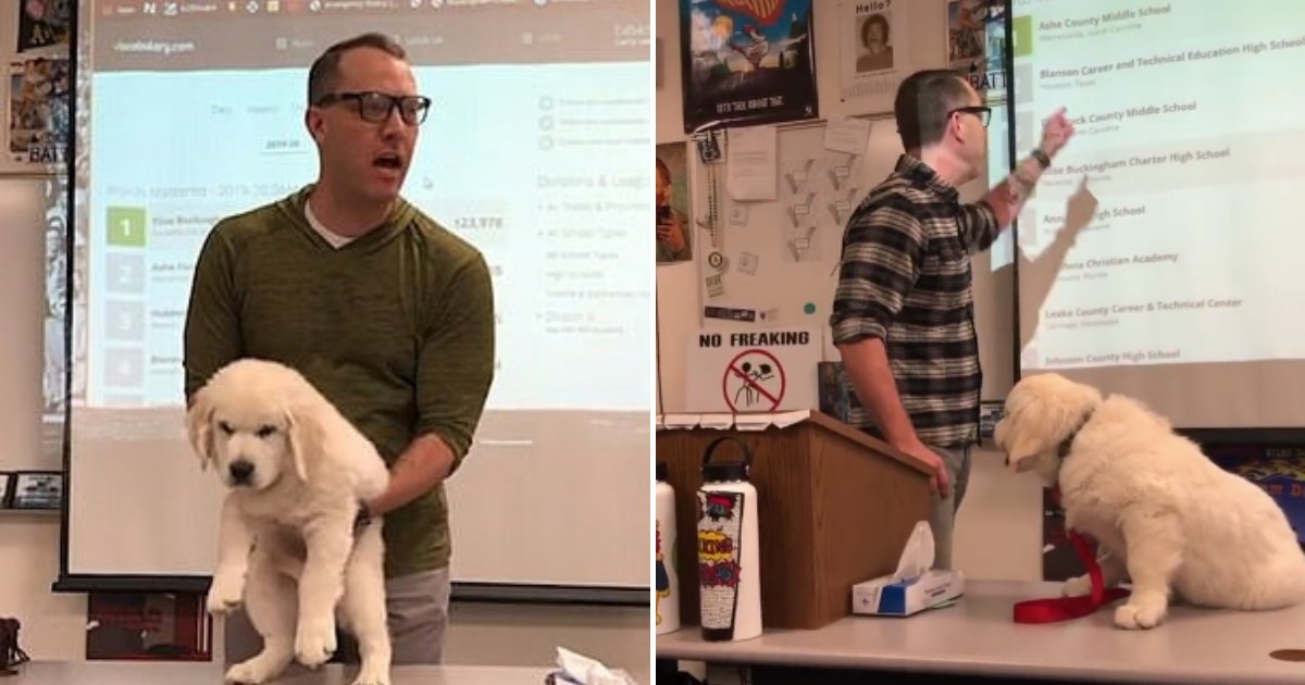 untitled design 66 1.png?fit=1024%2C538&ssl=1&strip=all - Teacher Threatened Students With Hurting A Puppy If They Didn't Win A Competition