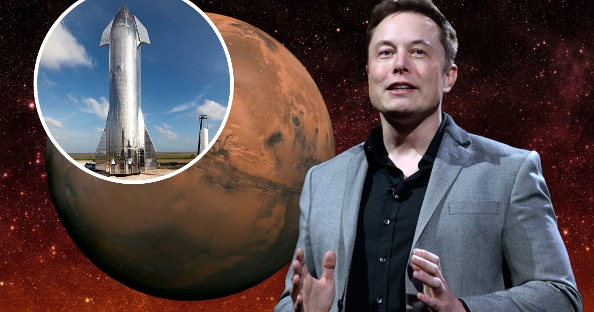 untitled design 67 1.png?resize=412,275 - Tesla: Elon Musk prévoit de construire 100 vaisseaux spatiaux par an et d'envoyer 1 million de personnes sur Mars d'ici 2050