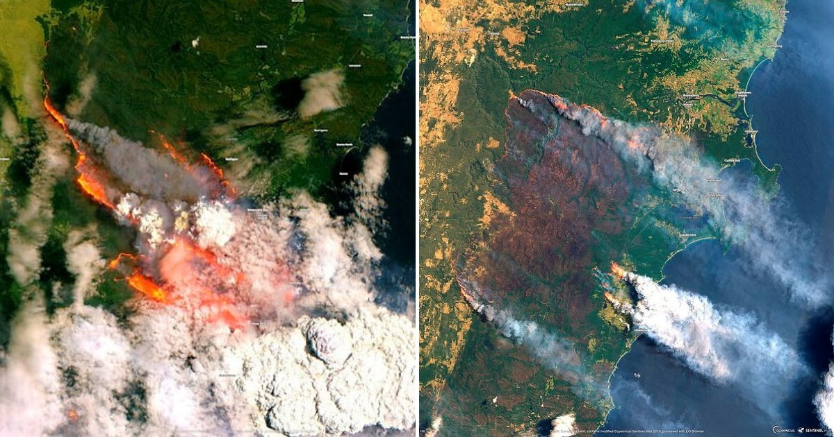 untitled design 74.png?resize=412,275 - Australia's Bushfires Burned Two Times More Land Than Amazon Rainforest Fires In 2019