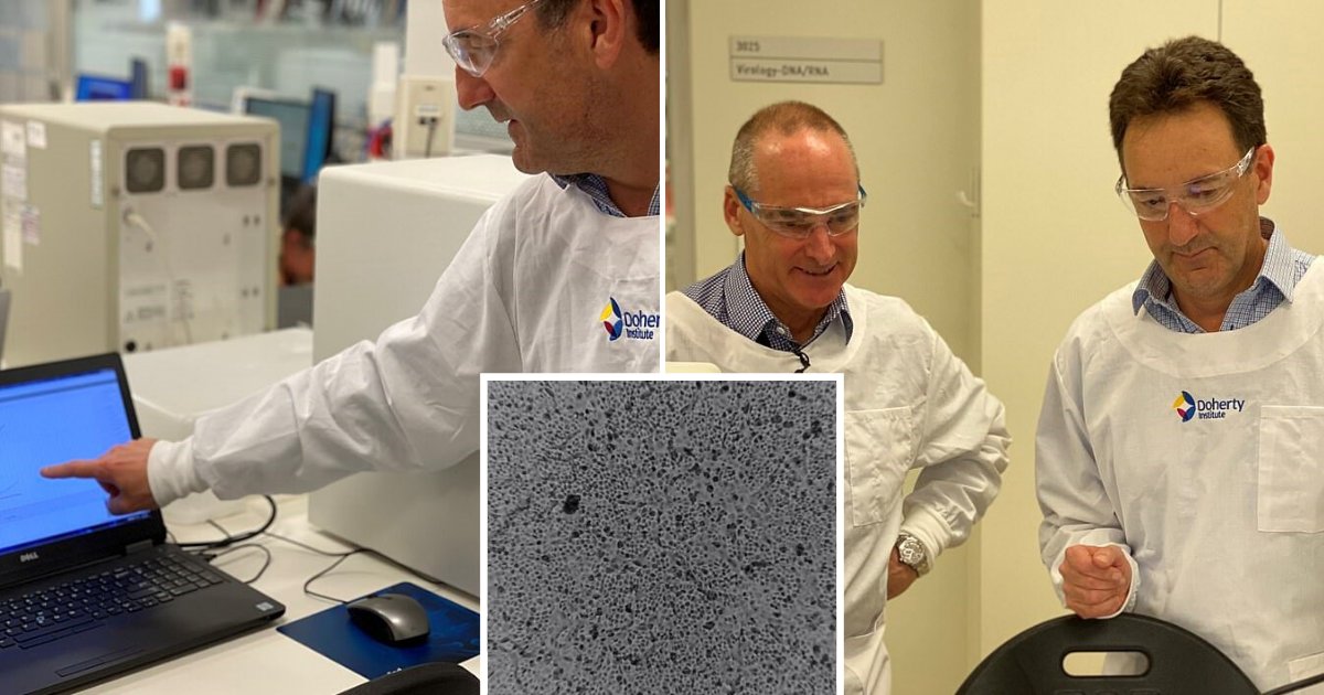 untitled design 87 2.png?resize=412,275 - Scientists Managed To Grow Coronavirus In Lab In Hopes Of Expediting Vaccine Development